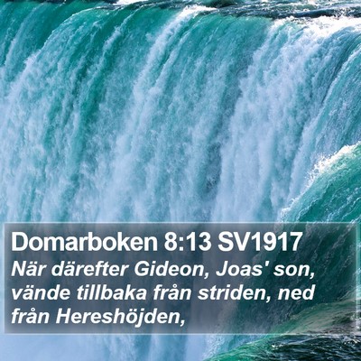Domarboken 8:13 SV1917 Bible Verse Image