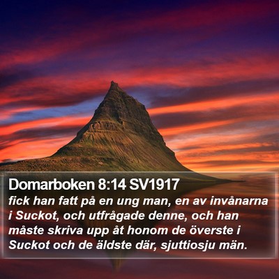 Domarboken 8:14 SV1917 Bible Verse Image