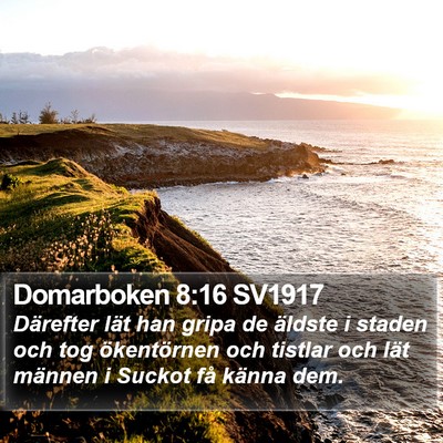 Domarboken 8:16 SV1917 Bible Verse Image
