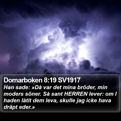 Domarboken 8:19 SV1917 Bible Verse Image