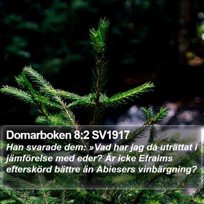Domarboken 8:2 SV1917 Bible Verse Image