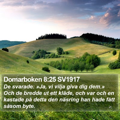 Domarboken 8:25 SV1917 Bible Verse Image