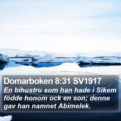 Domarboken 8:31 SV1917 Bible Verse Image