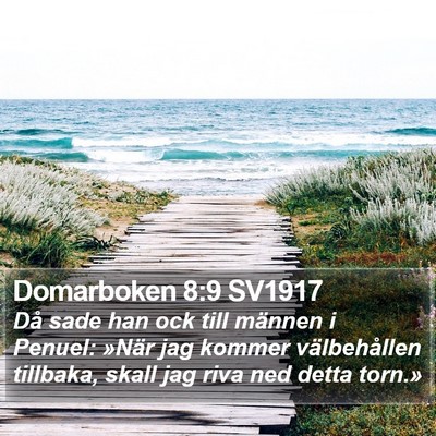 Domarboken 8:9 SV1917 Bible Verse Image