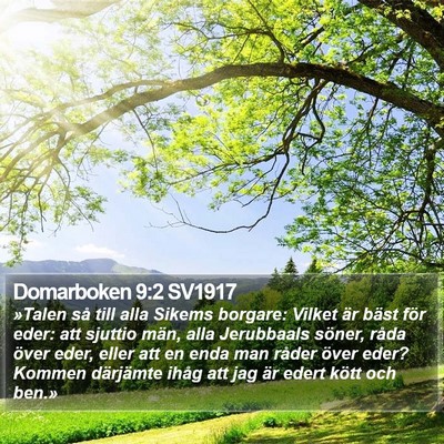 Domarboken 9:2 SV1917 Bible Verse Image