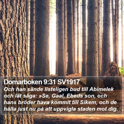 Domarboken 9:31 SV1917 Bible Verse Image