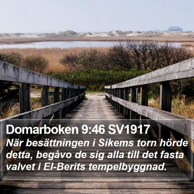 Domarboken 9:46 SV1917 Bible Verse Image