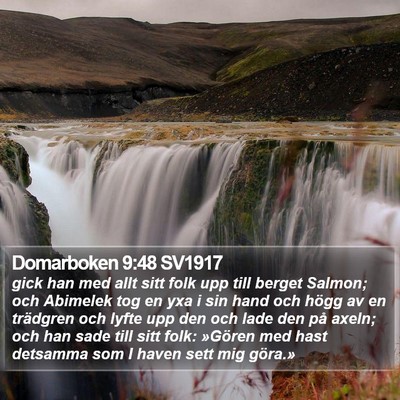 Domarboken 9:48 SV1917 Bible Verse Image