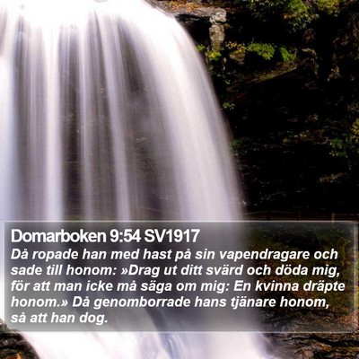 Domarboken 9:54 SV1917 Bible Verse Image