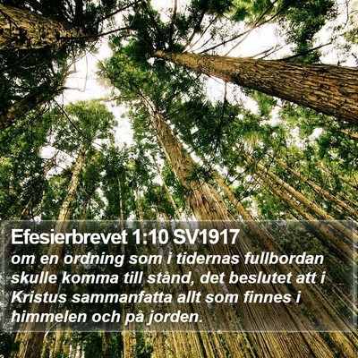 Efesierbrevet 1:10 SV1917 Bible Verse Image