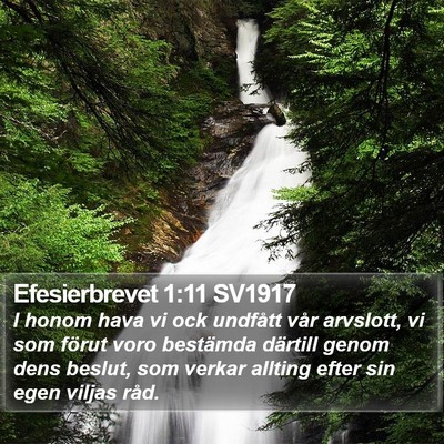 Efesierbrevet 1:11 SV1917 Bible Verse Image