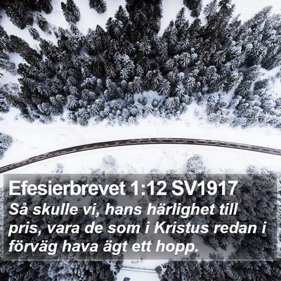 Efesierbrevet 1:12 SV1917 Bible Verse Image