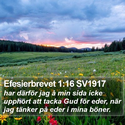 Efesierbrevet 1:16 SV1917 Bible Verse Image