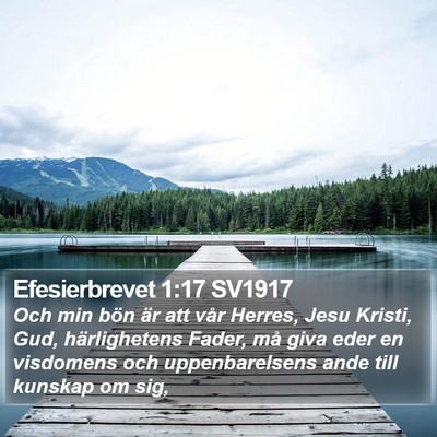 Efesierbrevet 1:17 SV1917 Bible Verse Image