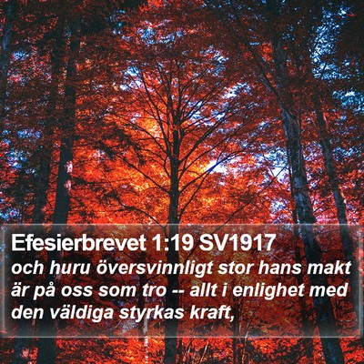Efesierbrevet 1:19 SV1917 Bible Verse Image