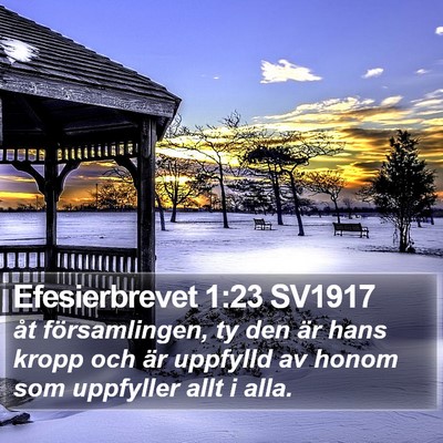 Efesierbrevet 1:23 SV1917 Bible Verse Image