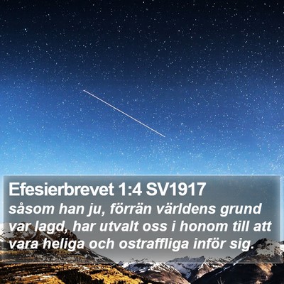 Efesierbrevet 1:4 SV1917 Bible Verse Image