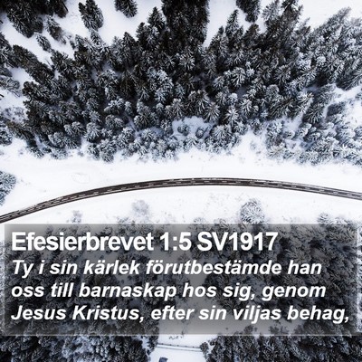Efesierbrevet 1:5 SV1917 Bible Verse Image
