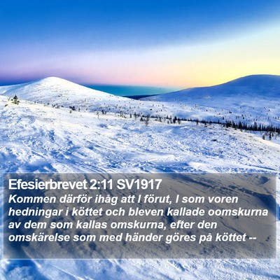 Efesierbrevet 2:11 SV1917 Bible Verse Image