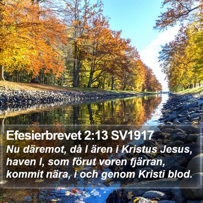 Efesierbrevet 2:13 SV1917 Bible Verse Image