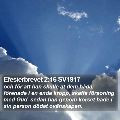 Efesierbrevet 2:16 SV1917 Bible Verse Image