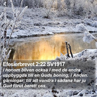 Efesierbrevet 2:22 SV1917 Bible Verse Image