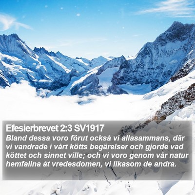 Efesierbrevet 2:3 SV1917 Bible Verse Image
