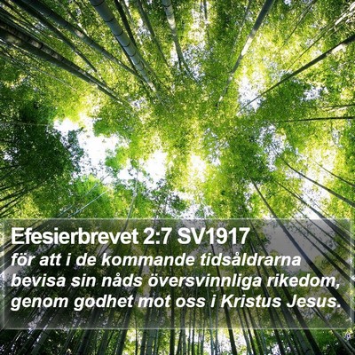 Efesierbrevet 2:7 SV1917 Bible Verse Image