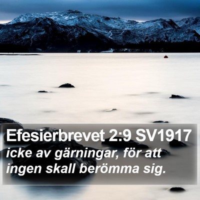 Efesierbrevet 2:9 SV1917 Bible Verse Image
