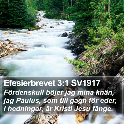 Efesierbrevet 3:1 SV1917 Bible Verse Image
