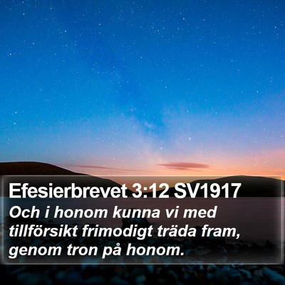 Efesierbrevet 3:12 SV1917 Bible Verse Image