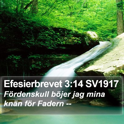 Efesierbrevet 3:14 SV1917 Bible Verse Image