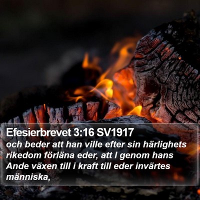 Efesierbrevet 3:16 SV1917 Bible Verse Image