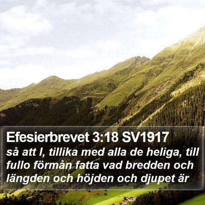 Efesierbrevet 3:18 SV1917 Bible Verse Image