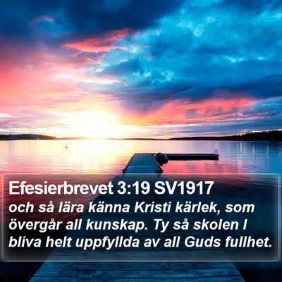 Efesierbrevet 3:19 SV1917 Bible Verse Image