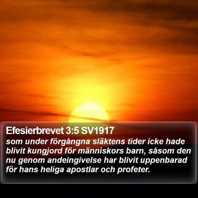 Efesierbrevet 3:5 SV1917 Bible Verse Image