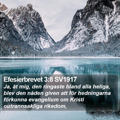 Efesierbrevet 3:8 SV1917 Bible Verse Image