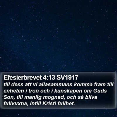 Efesierbrevet 4:13 SV1917 Bible Verse Image