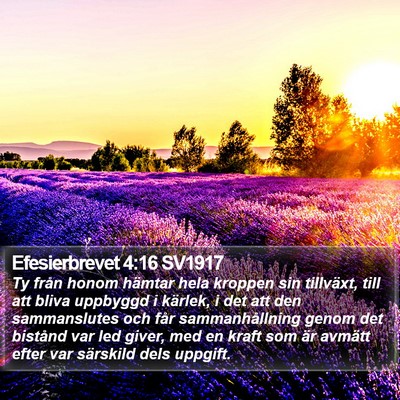 Efesierbrevet 4:16 SV1917 Bible Verse Image