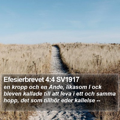 Efesierbrevet 4:4 SV1917 Bible Verse Image