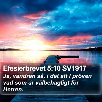 Efesierbrevet 5:10 SV1917 Bible Verse Image