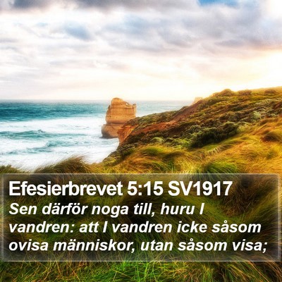 Efesierbrevet 5:15 SV1917 Bible Verse Image
