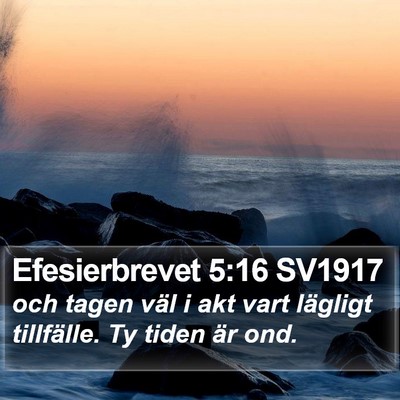 Efesierbrevet 5:16 SV1917 Bible Verse Image