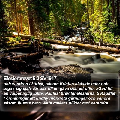 Efesierbrevet 5:2 SV1917 Bible Verse Image