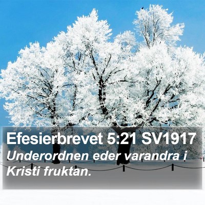 Efesierbrevet 5:21 SV1917 Bible Verse Image