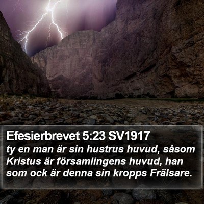 Efesierbrevet 5:23 SV1917 Bible Verse Image