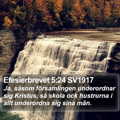 Efesierbrevet 5:24 SV1917 Bible Verse Image