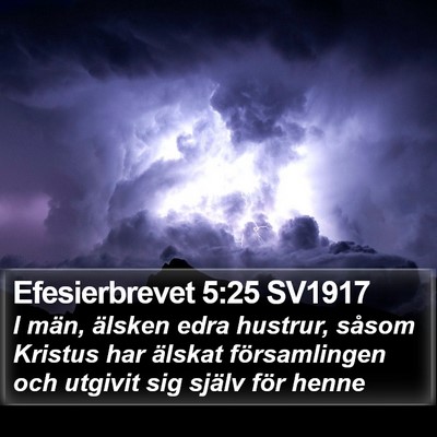 Efesierbrevet 5:25 SV1917 Bible Verse Image