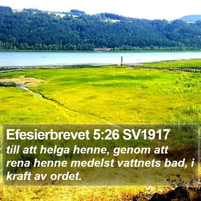 Efesierbrevet 5:26 SV1917 Bible Verse Image