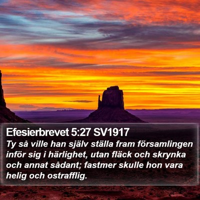 Efesierbrevet 5:27 SV1917 Bible Verse Image